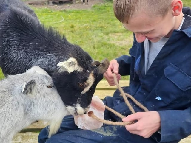 Animal Husbandry