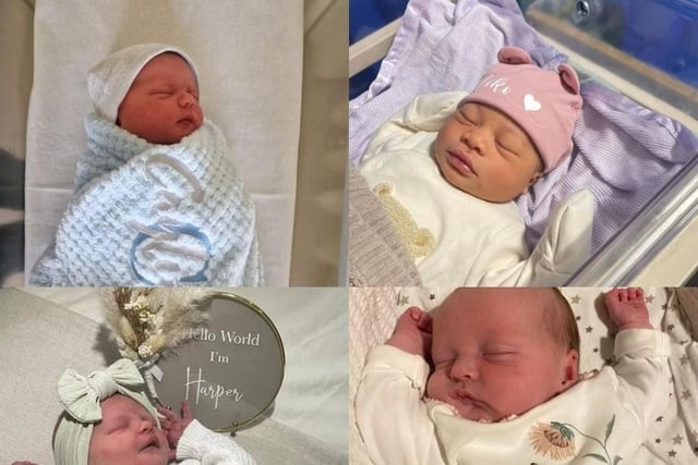 Adorable photos of dozens of babies born this year...