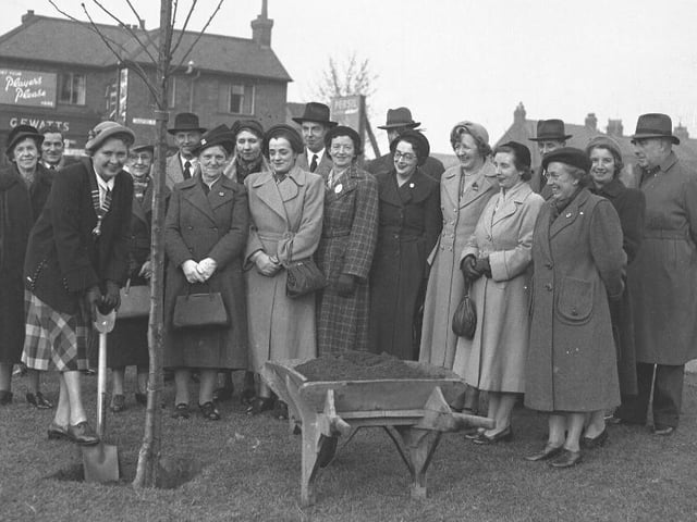 Women tree planting