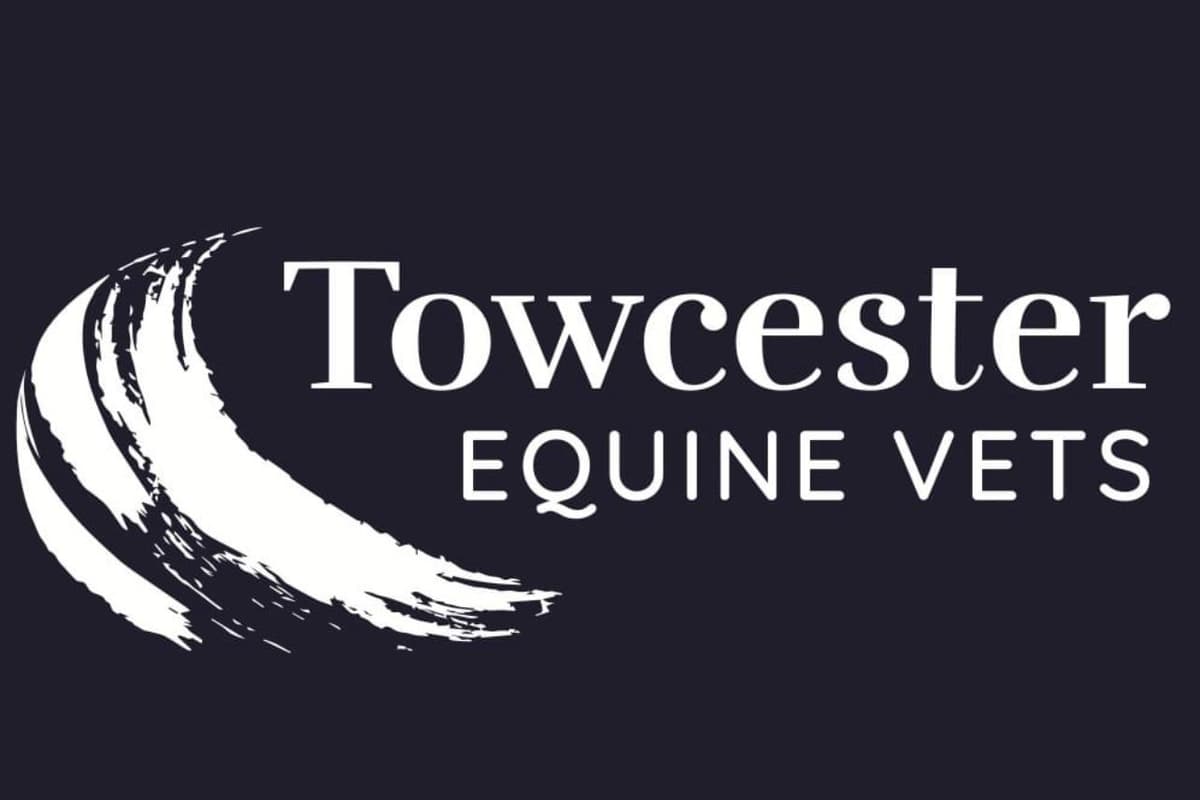 Towcester Sign Towcester Vet nominated as a finalist in top UK veterinary awards for ...