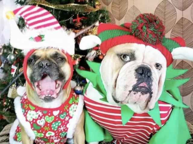"Mr and Mrs Elf."