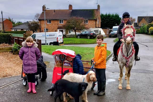 Spratton Children and Animal Focused therapy animals deliver Christmas Hampers
