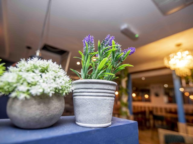 The venue opened its doors for the first time in the former Electric Pavilion building in Gold Street on May 23.