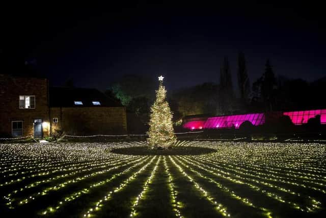 The illuminated woodland trail will run from this Friday until December 31 at the historic venue, which means there will be five weeks to enjoy the all new route for 2023. Photo: Kirsty Edmonds.