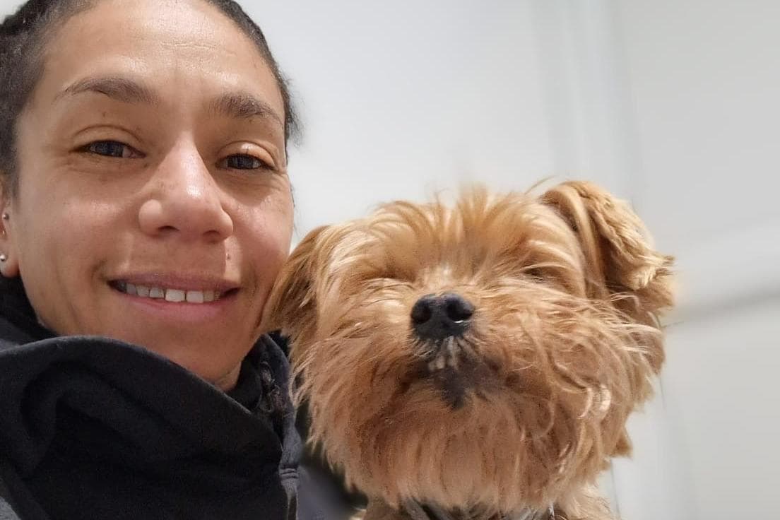 Northamptonshire's Animals In Need hoping to re-home sweet but shy Yorkshire Terrier 