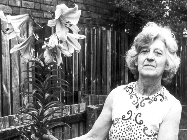 Ella Harisson with a five foot lily 1982