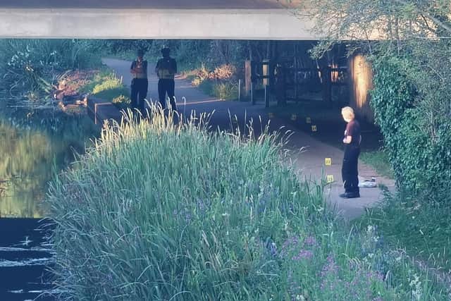 Pictures from the scene. Photo: Logan MacLeod