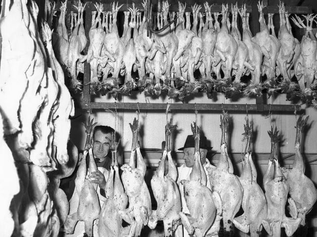 Christmas poultry, December 5, 1960
