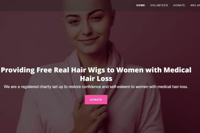 One Wig One Smile Web Site Home Page and Logo