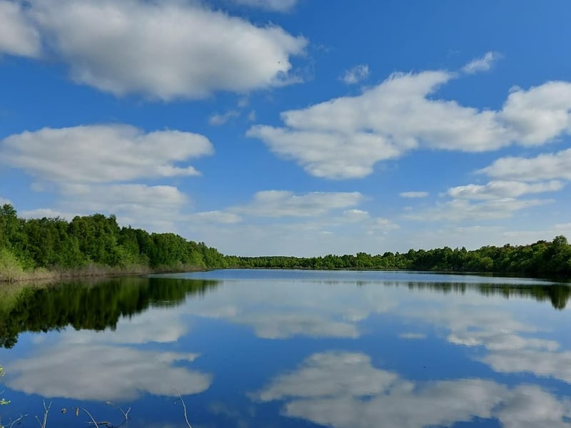 Samantha McEwan, said: "Hatfield moors or ten acre lake!"
