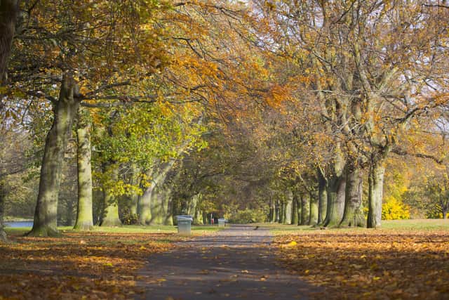 The toilet block in Abington Park could be demolished and rebuilt in another location under plans submitted to West Northamptonshire Council.