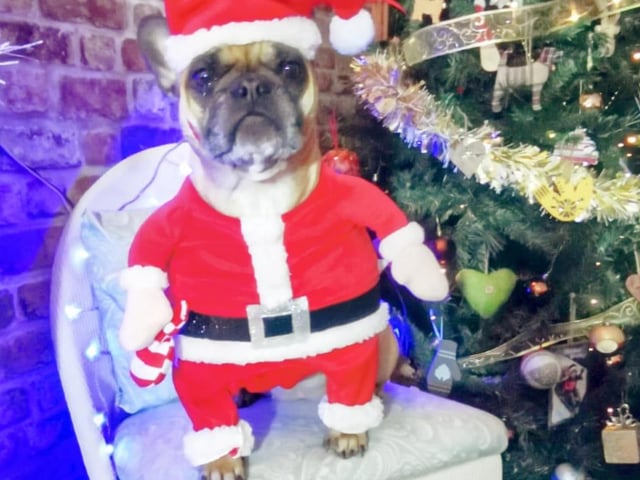 "Santa baby."