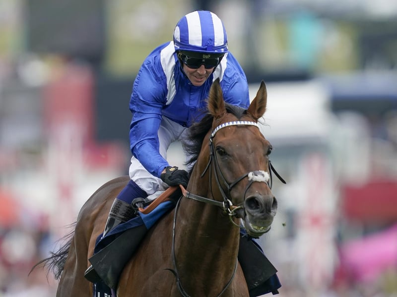 This son of former Derby and Arc winner Sea The Stars suffered such a serious leg injury after hammering the subsequent King George winner, Pyledriver, in the Coronation Cup at Epsom a year ago that he was actually retired for a while. But when he returned after a 356-day absence at Sandown last month, he outclassed last year's Derby hero, Desert Crown, to prove he has retained all his ability. Now, providing the ground isn't too fast, he will bid to bag the second Royal Ascot prize of his career in the Hardwicke Stakes on Saturday for excellent trainer Owen Burrows.