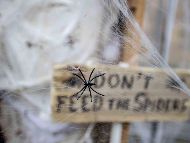 The abbey hosted a Witches' Spooktacular on Saturday (October 28) and will host the same event on Tuesday (October 31).