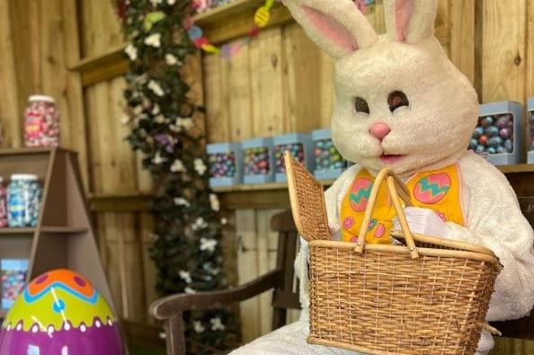 The Desborough farm has a host of activities on during the Easter holidays, including an egg hunt, the crafts, the chance to feed lambs and much more. Visit the West Lodge website to book tickets.