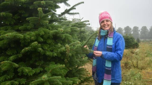 Cynthia Spencer Hospice Community and Events Fundraiser Lead Michelle Morris with the Christmas trees
