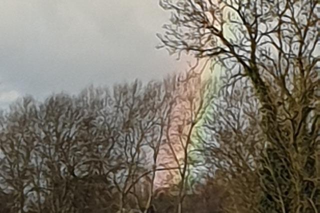 Colours peering through the tree branches at Buckton Fields.