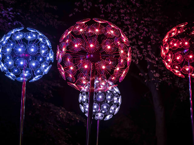 Take a look around the winter light trail, which is now open and will be until December 31.