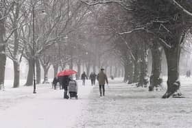Abington Park in the snow in 2021. Photo: Levi Jackson.