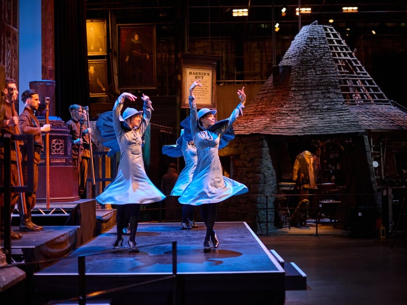 The Beauxbaton pupils make a dramatic entrance as part of a major new feature - ‘Triwizard Tournament - Making of Champions’ at Warner Bros. Studio Tour London
