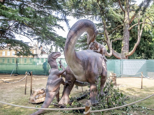 What to expect from the Dinosaurs in the Park event, which is at Delapre Abbey until Sunday September 1, 2024.