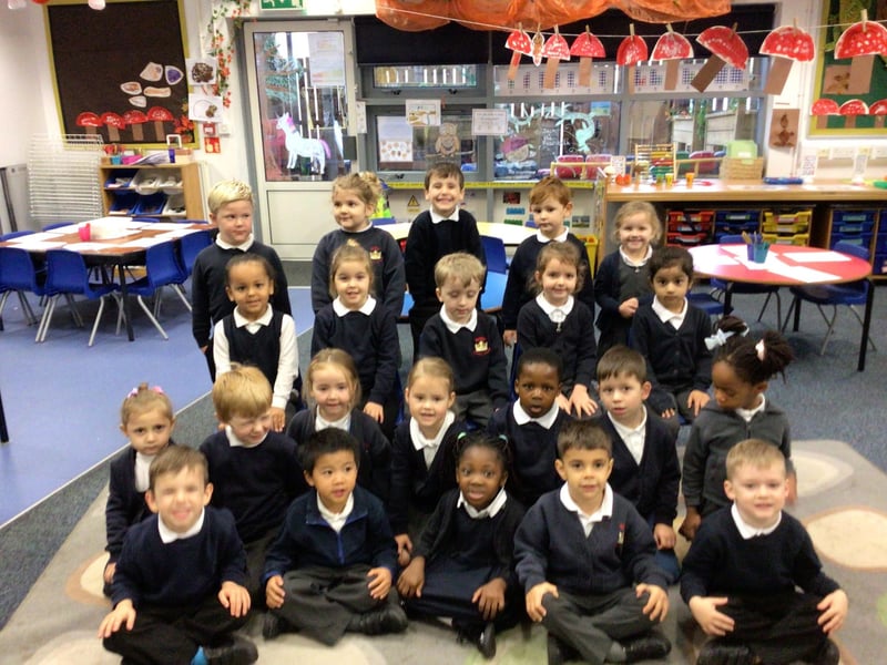 Kingsley Primary School - Miss Goodridge.