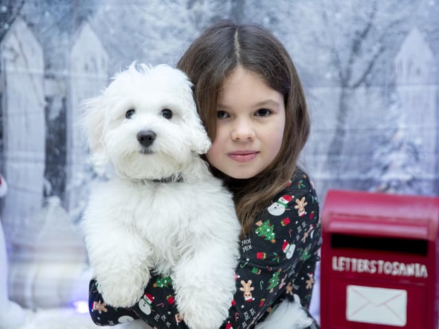 Teddy’s Dog Care, situated in Wootton, hosted a luxury Santa Paws Grotto experience for dogs on Saturday December 17, 2022.