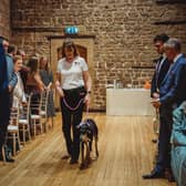 First launched in 2016 by Jules Guy, Pamper My Poochie offers holistic dog spa treatments, dog sitting, walking and their popular wedding service. Photo: 1st Class Photography.