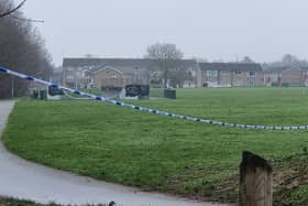 The drug deal took place at the skate park (middle) then the boys biked into the middle of the park (right) which is where the fight unfolded. Four boys, who cannot be named for legal reasons, watched on from the trees alongside the canal (left).