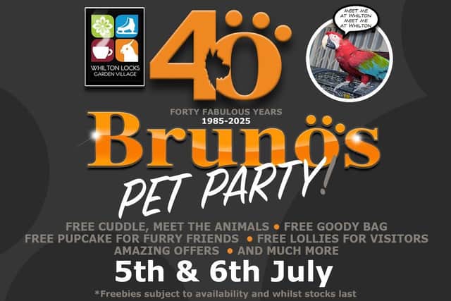 Bruno’s Party - and you, and your pets, are invited!