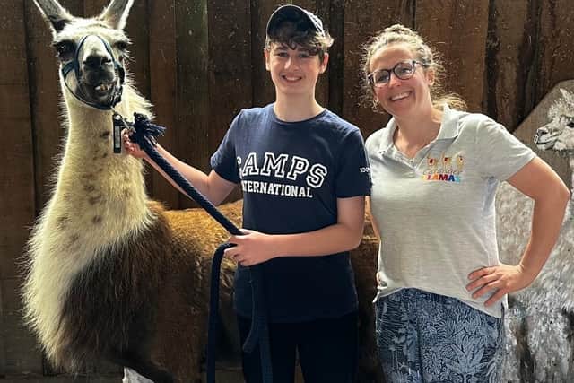 Indigo the llama with Devan and Sarah from Catanger Llamas