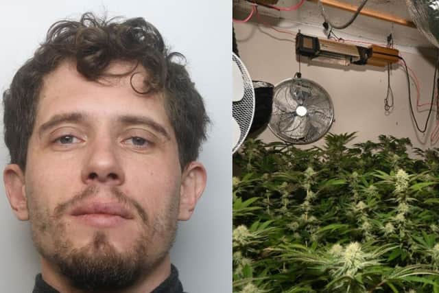 Modesta Graigaitis was jailed after 291 cannabis plants were found in his Northamptonshire home.