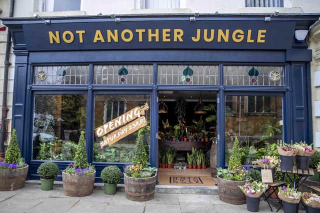 Not Another Jungle is a new plant shop opened by Tony Le Britton