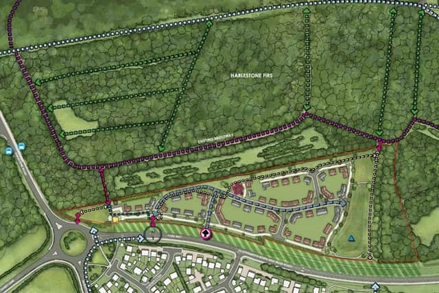 Hundreds of residents have voiced anger over plans to build up to 100 new homes on land beside Harlestone Firs