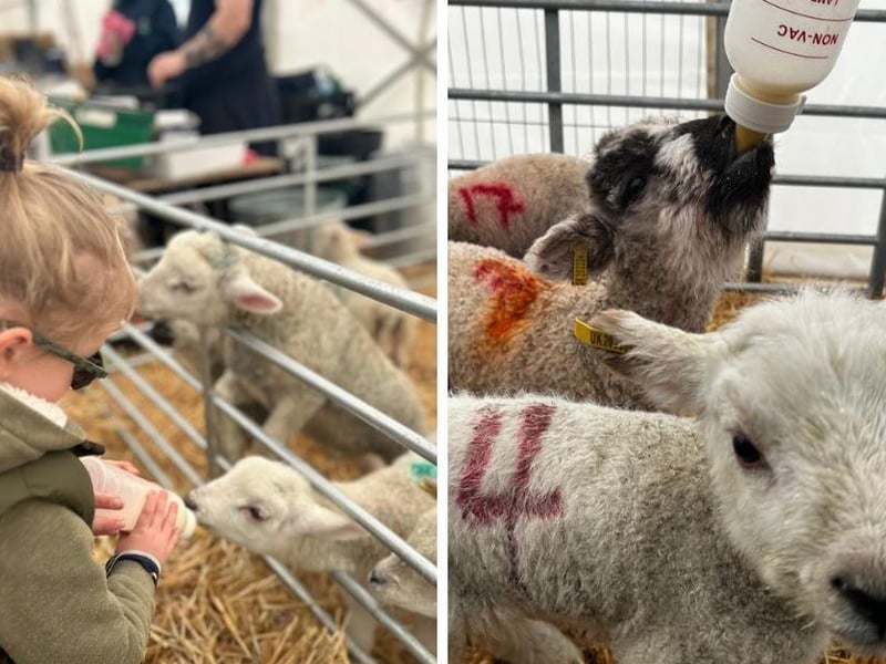 The Wellingborough attraction once again has a whole host of Easter activities available for families this year. There will be a giant Easter egg hunt and the chance to feed lambs. Book online on the Chester House website.