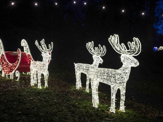 Take a look around the winter light trail, which is now open and will be until December 31.