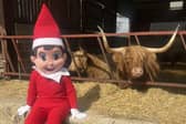 The family-run Colready Highlands Farm first opened its doors to the public in July 2023, originally as a six-week holiday highland cow experience, and it has since gone from strength to strength.
