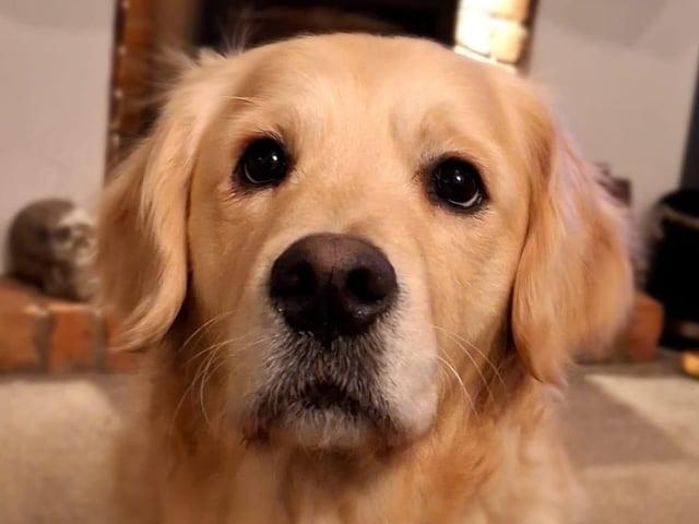 Mason pictured.