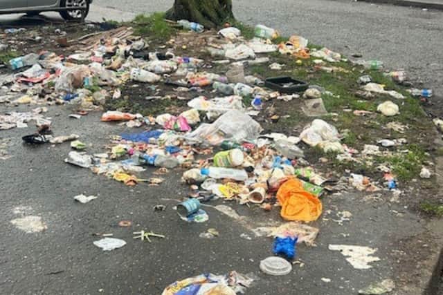 Tia unfortunately cannot imagine a litter, fly tipping and rat-free future for the area.