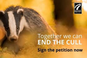 End the Cull Petition