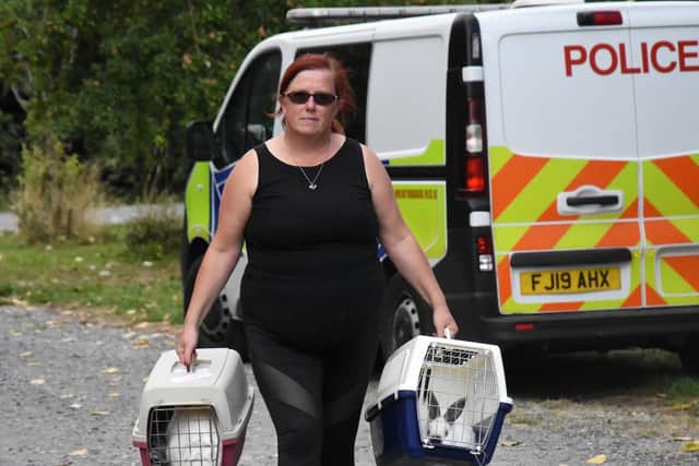 Annie Marriott rescuing the rabbits from the farm on Saturday (August 20)