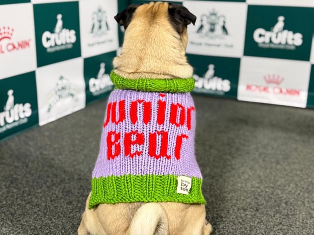 Junior Bear Pug