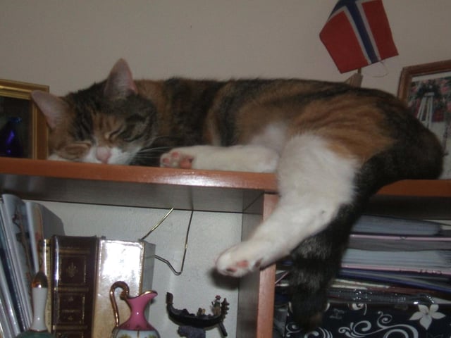 Lucie pictured.