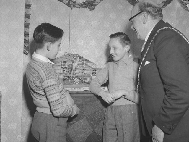 Late 1950s, Christmas visit by Northampton Mayor, looking at budgie in cage