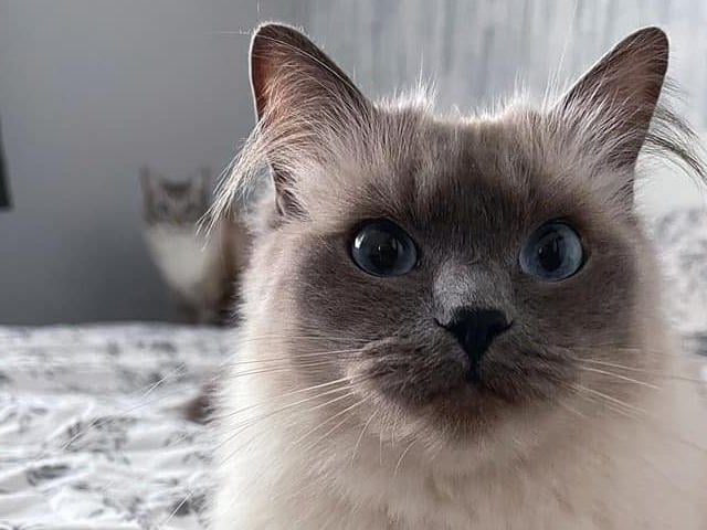 "He’s behind me isn’t he?"