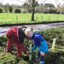 Milton Primary pupils planting hedgerows.