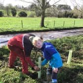 Milton Primary pupils planting hedgerows.