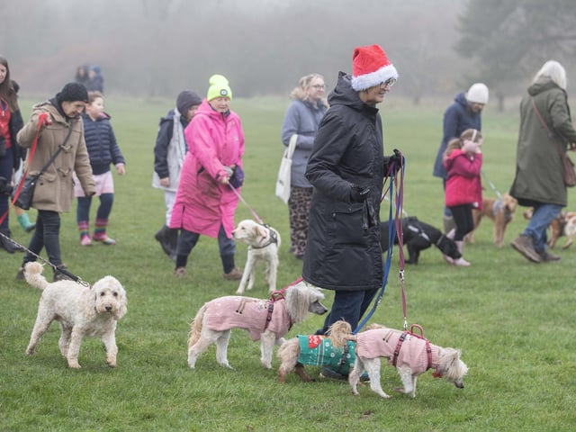 Dozens of dog walkers turned out on Sunday morning (December 21) for the charity's annual fundraiser at Bradlaugh Fields