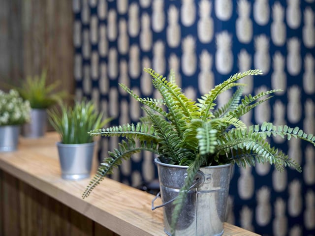 The pub has been transformed into a 'destination' cocktail bar and will reopen on Friday (April 29)