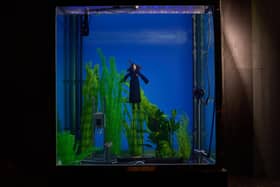 How did the actors stay underwater? Find out special effects secrets at The Backlot Stage show